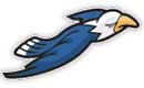 Skyview Elementary logo